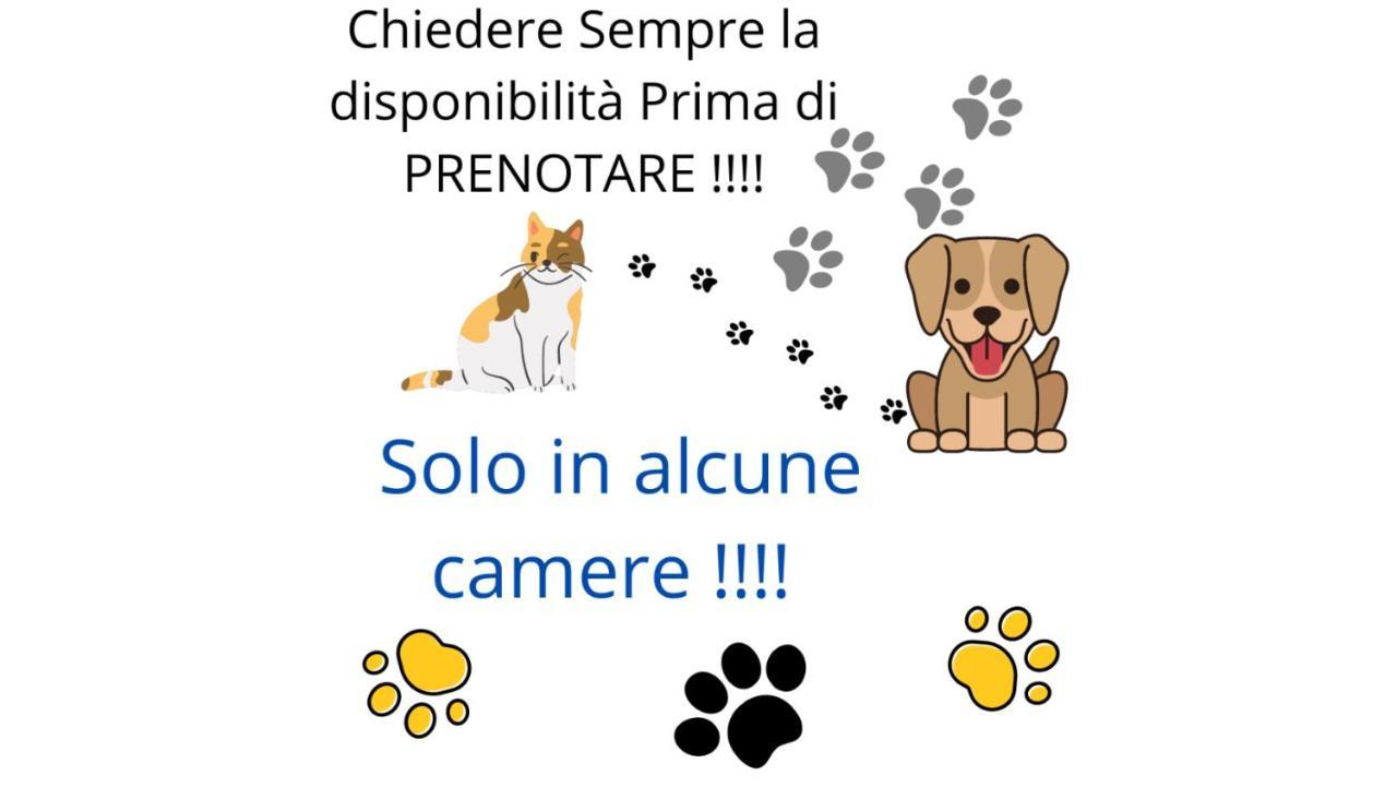 Terra Ciociara Bnb Frosinone Eksteriør bilde